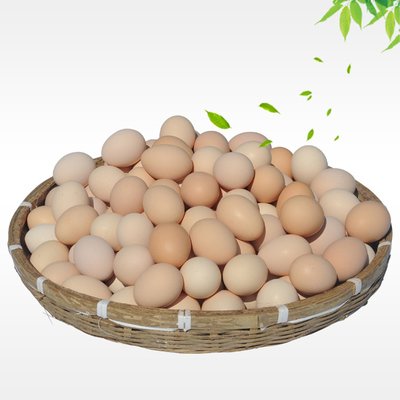 长期出售土鸡蛋