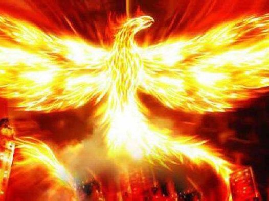 重生之七份心动